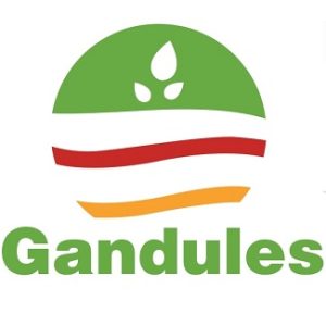 gandules